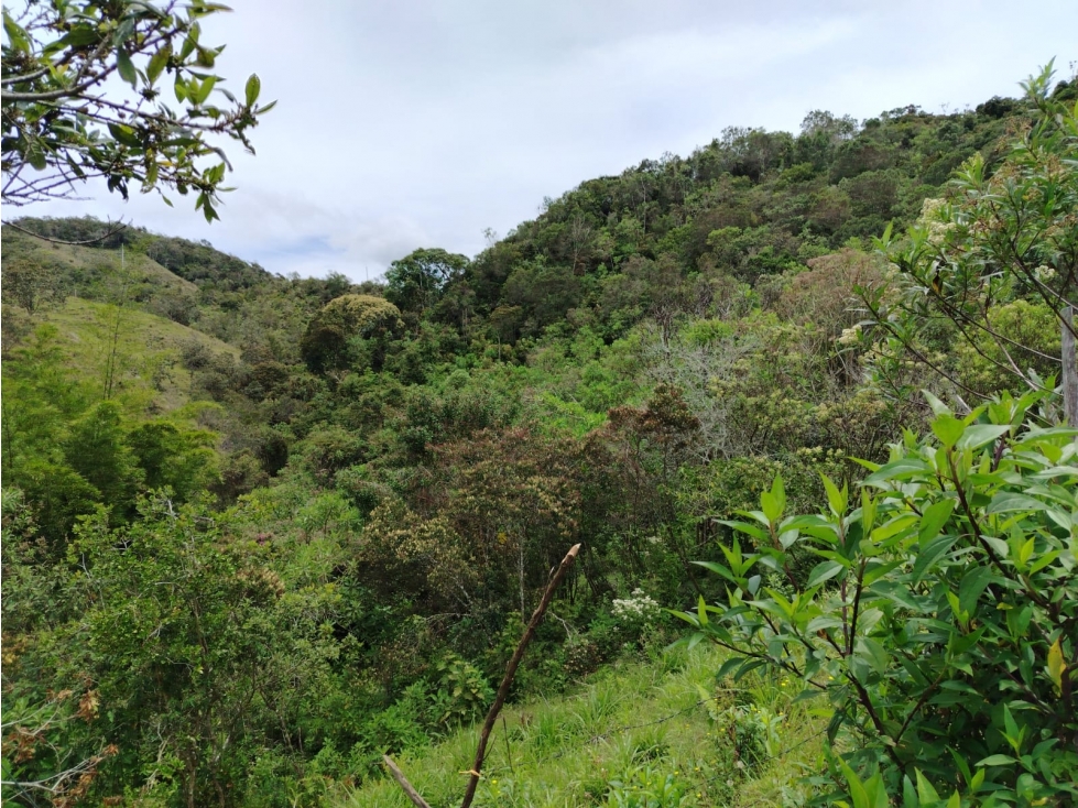 Casa lote en venta con bosque nativo, La Magdalena, San Vicente — foto 3