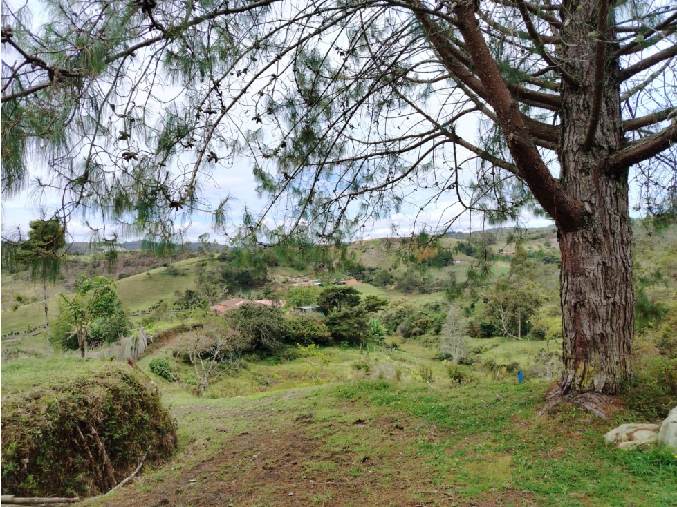 Lote con hermosa vista y agua natural en La Magdalena, San Vicente — foto 3