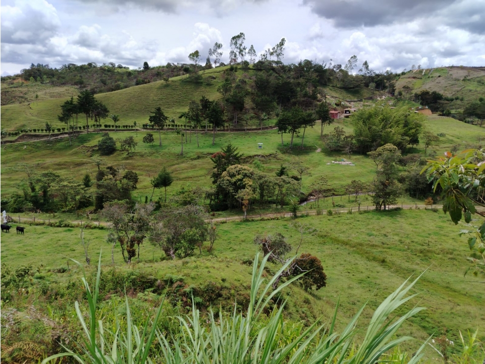 Casa lote en venta, sector La Magdalena, San Vicente — foto 4