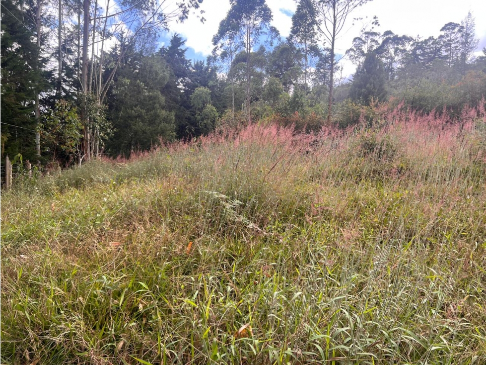 Lote con vista al Valle de San Nicolás, cerca al aeropuerto — foto 3