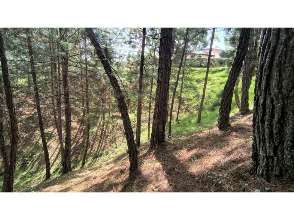 Lote en venta, vereda San Antonio sector Campo Alegre, San Vicente — foto 4