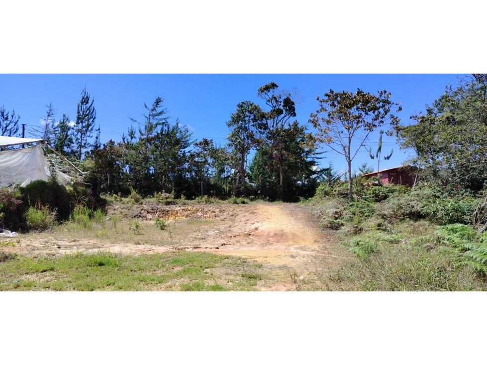 Finca agrícola en venta, con alto potencial productivo en San Vicente — foto 3