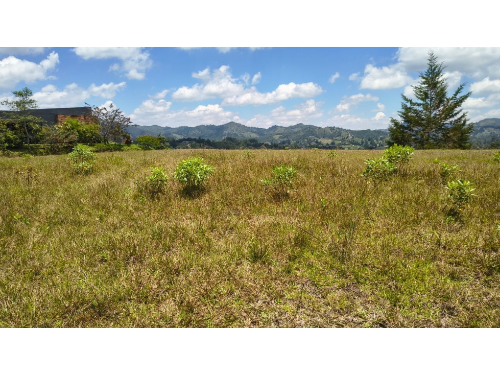Lote en venta, en la mejor parcelación de El Retiro - Pantanillo — foto 3
