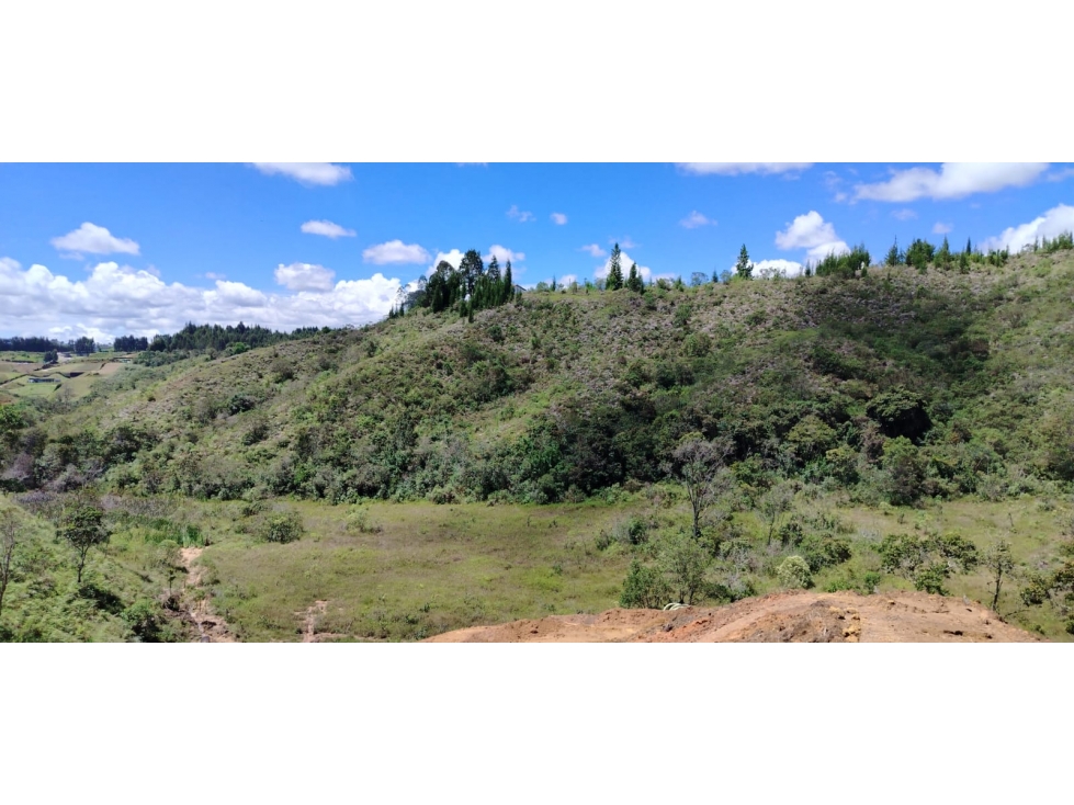 Lote en venta, sector Hojas Anchas, Guarne — foto 3