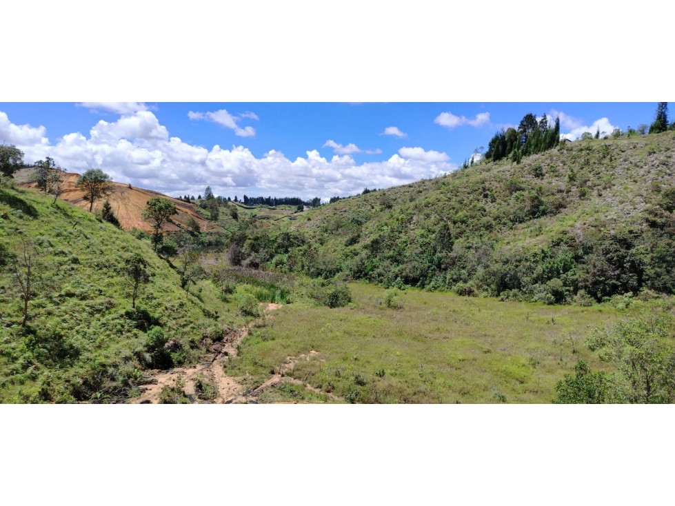 Lote campestre en preventa | 1.600 m² | Conectividad y entorno natural — foto 3