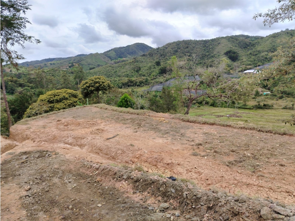 Lote en venta sector La Magdalena, San Vicente — foto 3