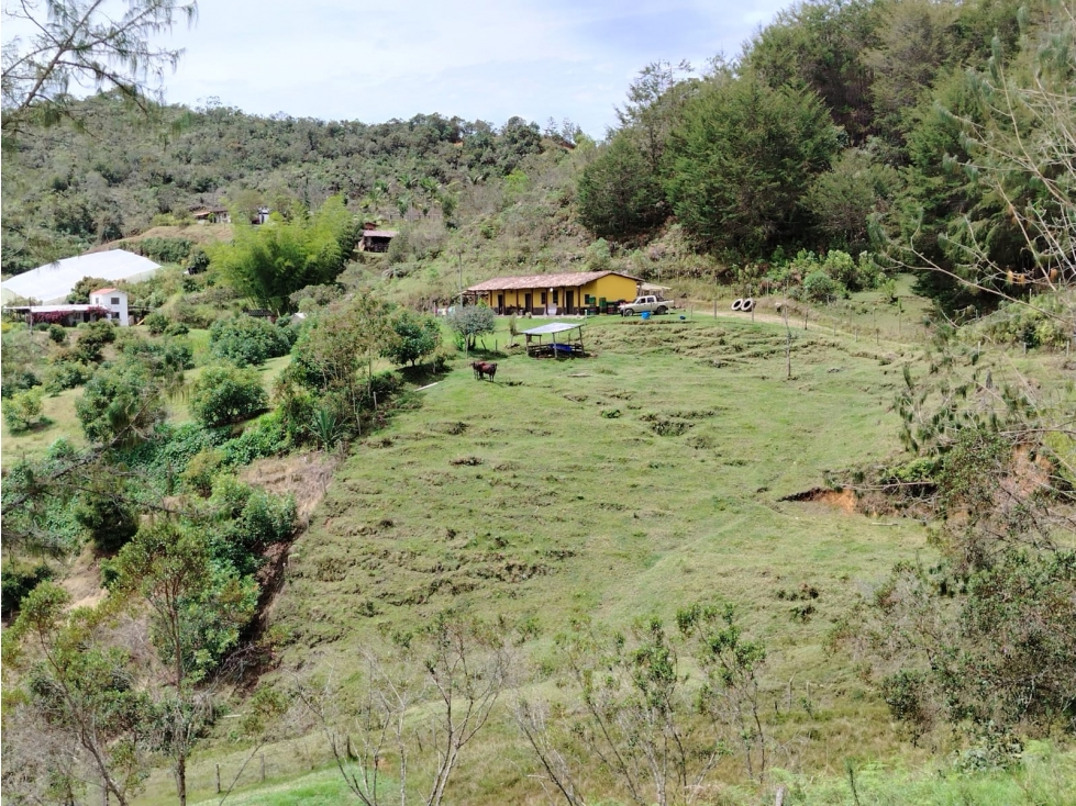 Finca en venta, sector Santa Ana, San Vicente — foto 3