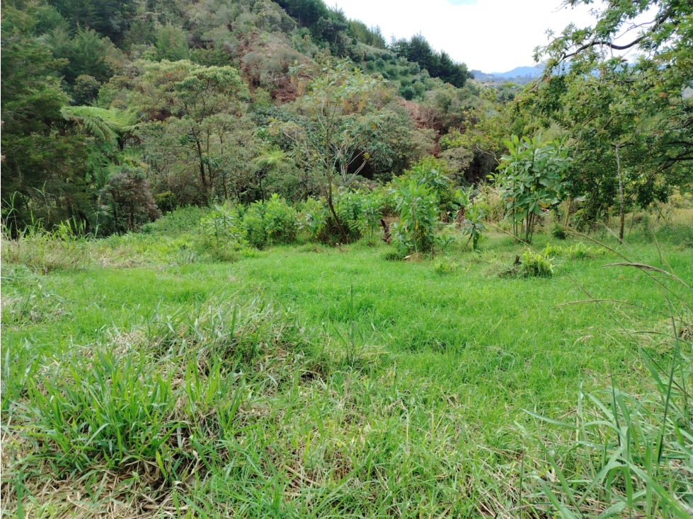 finca en venta sector el Porvenir, San Vicente — foto 3