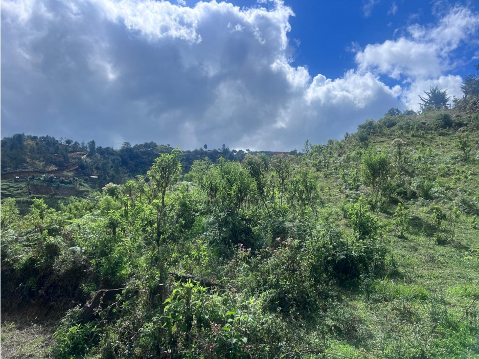 Lote en venta sector Las Cruces, San Vicente — foto 3