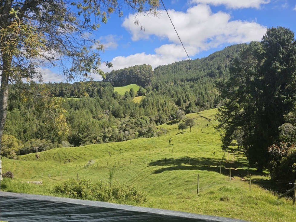 Casa campestre en venta, Vereda Zafra, San Pedro de los Milagros — foto 3