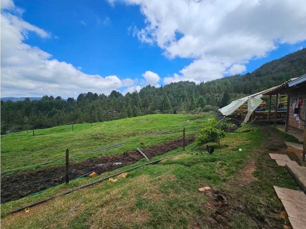 Lote en venta vereda Zafra, San Pedro de los Milagros — foto 3