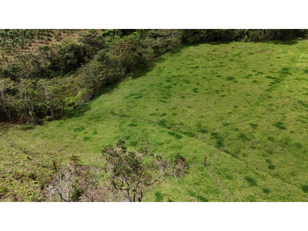 Lote campestre en condominio exclusivo Don Diego a La Ceja — foto 3