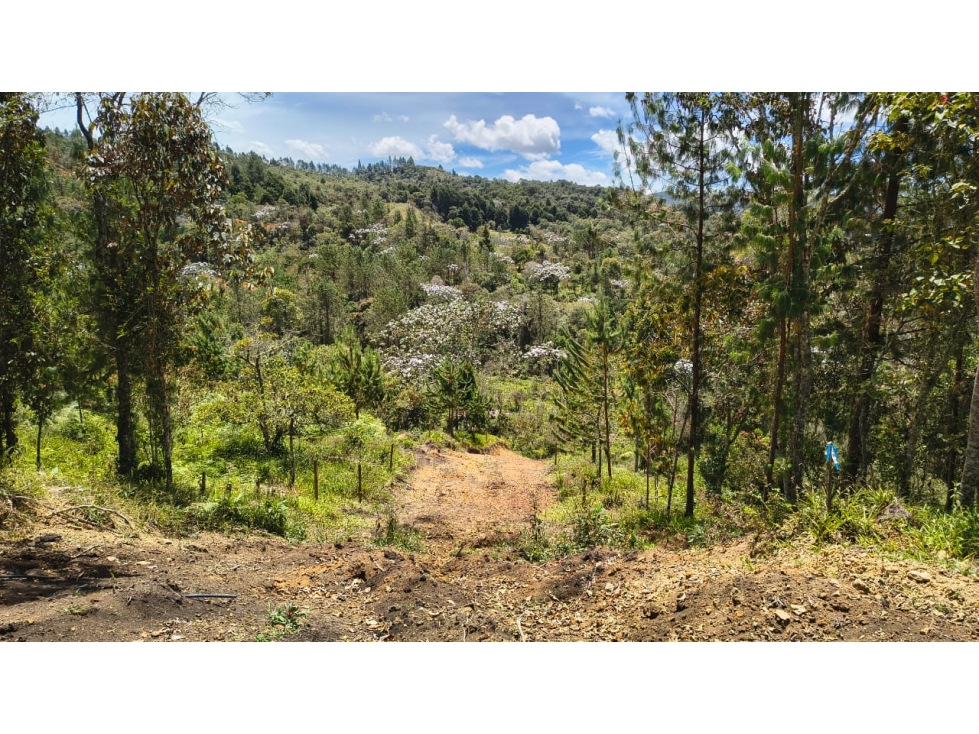 Lote en venta sector La Pastorcita, Guarne — foto 3