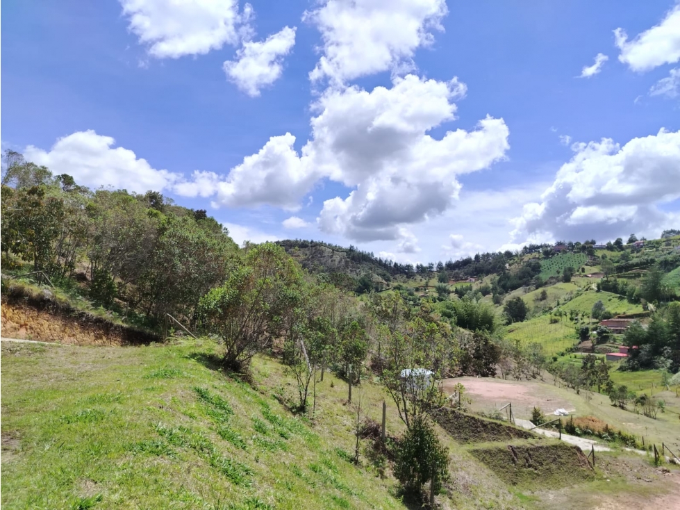 Lote campestre con bosque y vista San Vicente Ferrer — foto 3