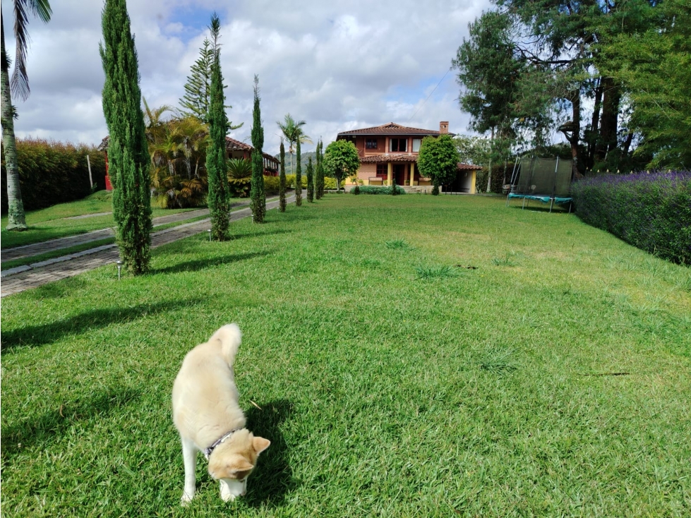 Casa campestre en venta sector La Compañía, San Vicente — foto 3