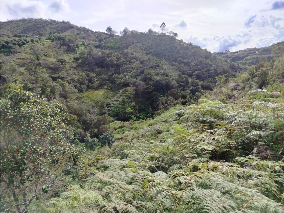 Lote campestre en venta, sector El Porvenir, San Vicente — foto 3
