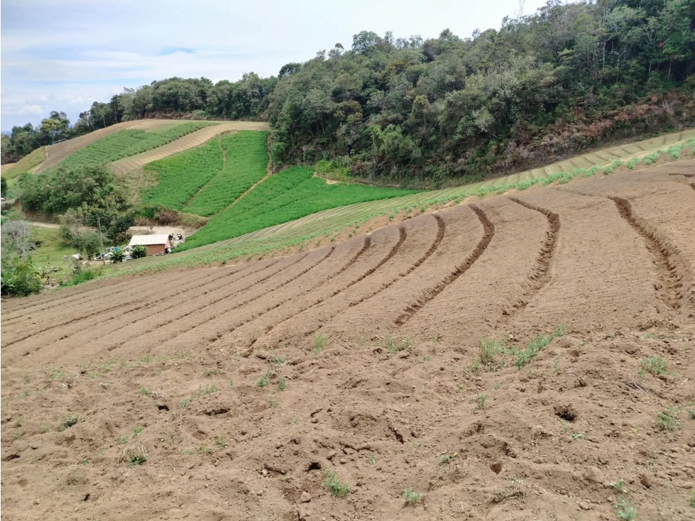 Casa lote agrícola en venta, sector bodegas, El Santuario - 4