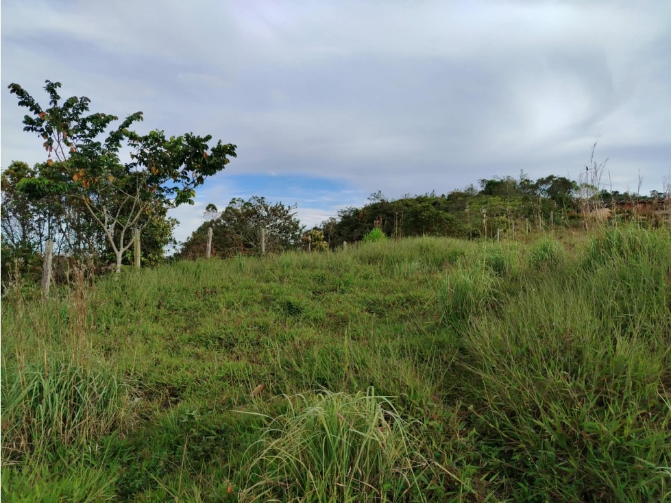 Lote en venta sector La Magdalena, san Vicente — foto 3