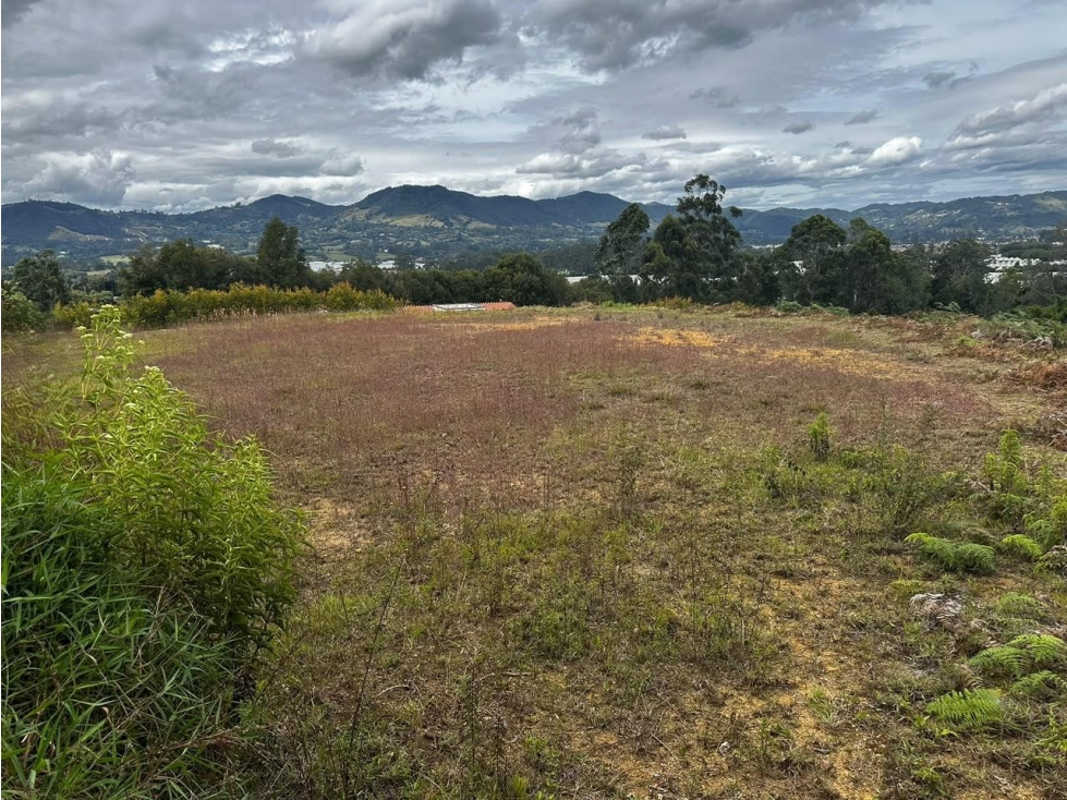 Lote campestre en venta vereda Guamito, La Ceja — foto 3