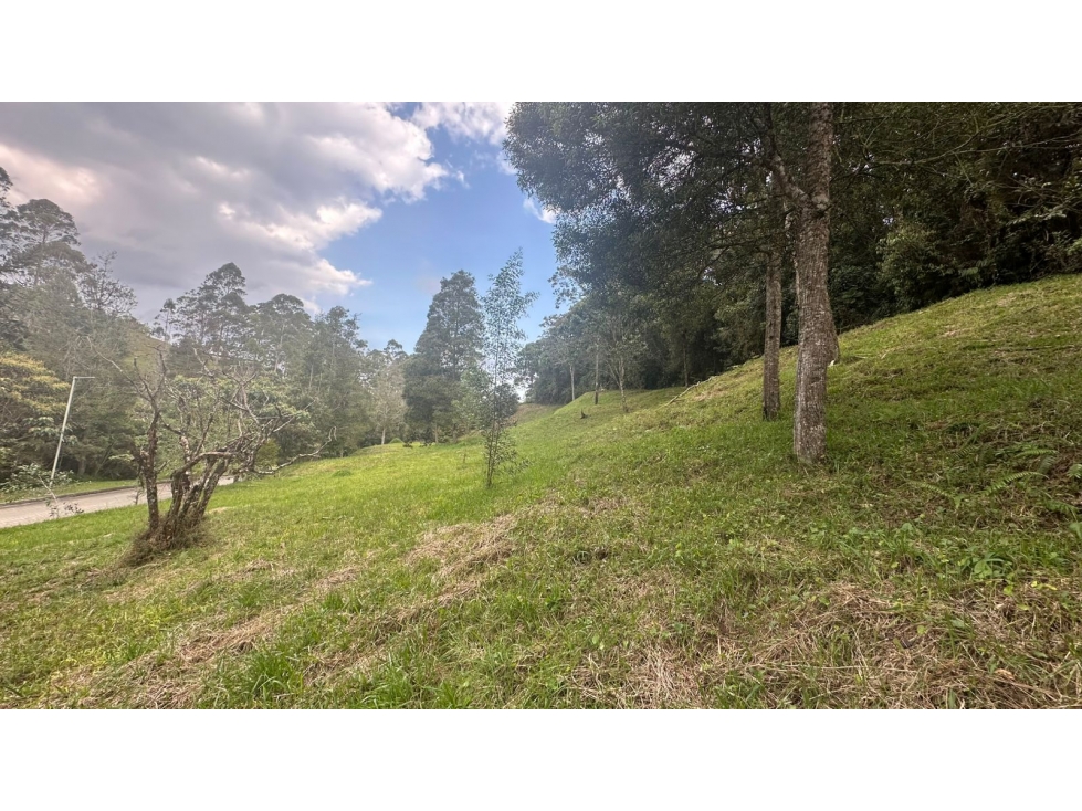 Lote campestre en venta, vía El Retiro La Ceja sector Pantanillo - 3