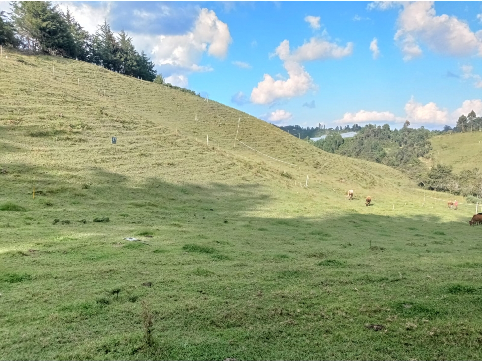 Lote en Venta en Exclusivo Proyecto, en el Retiro don Diego la Ceja — foto 5