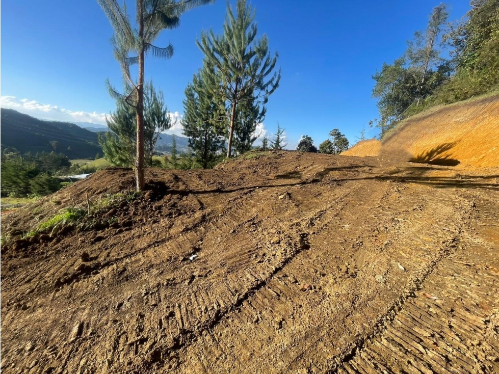 Lote con Explanación en Venta Sector la Cristalina, la Ceja — foto 4