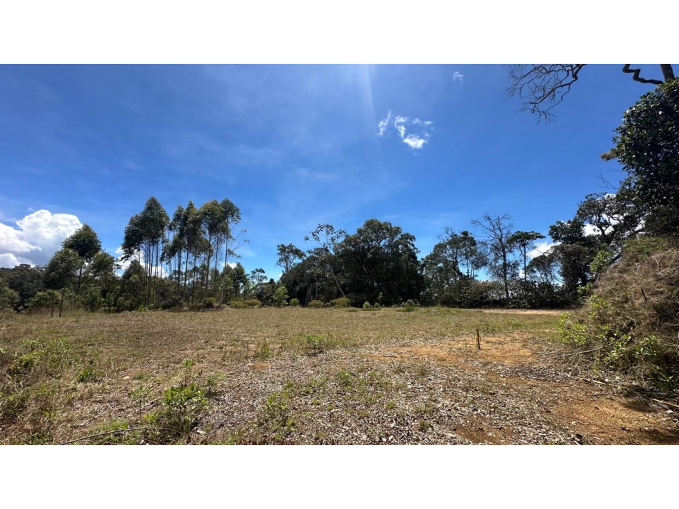 Lote en venta con excelente vista, El Retiro sector Pantanillo - 6