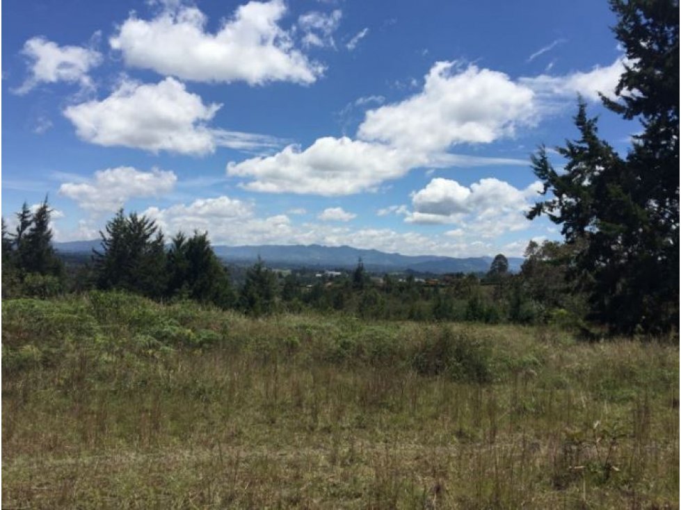 Lote en Venta sector Rancherías en Rionegro — foto 4