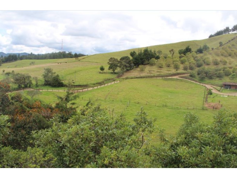 Lote en Venta sector Pantanillo El Retiro