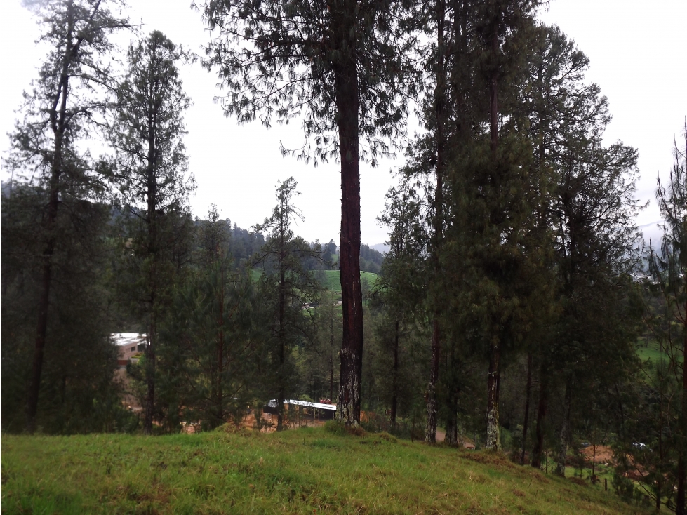 Lote en Venta en El Retiro sector Macedonia 3.962 m2 — foto 6