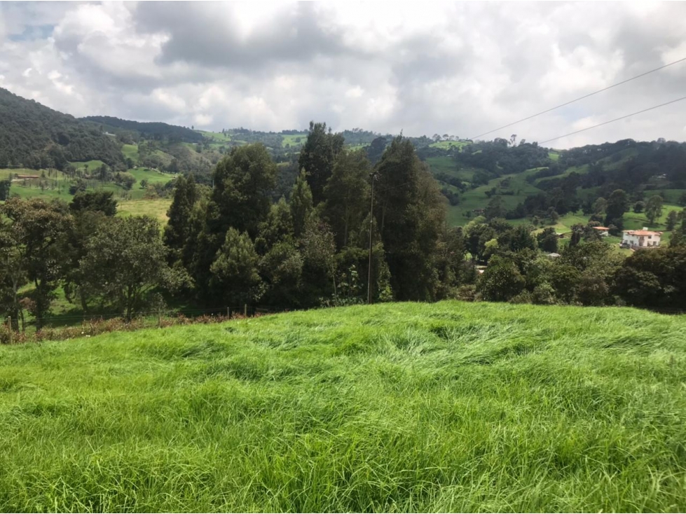Lote en Venta en San Pedro de los Milagros Vereda La Pulgarina — foto 4