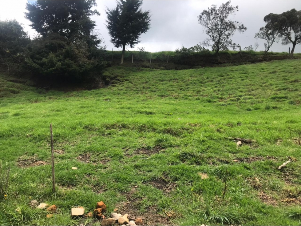 Lote en Venta en San Pedro de los Milagros Vereda La Pulgarina — foto 4