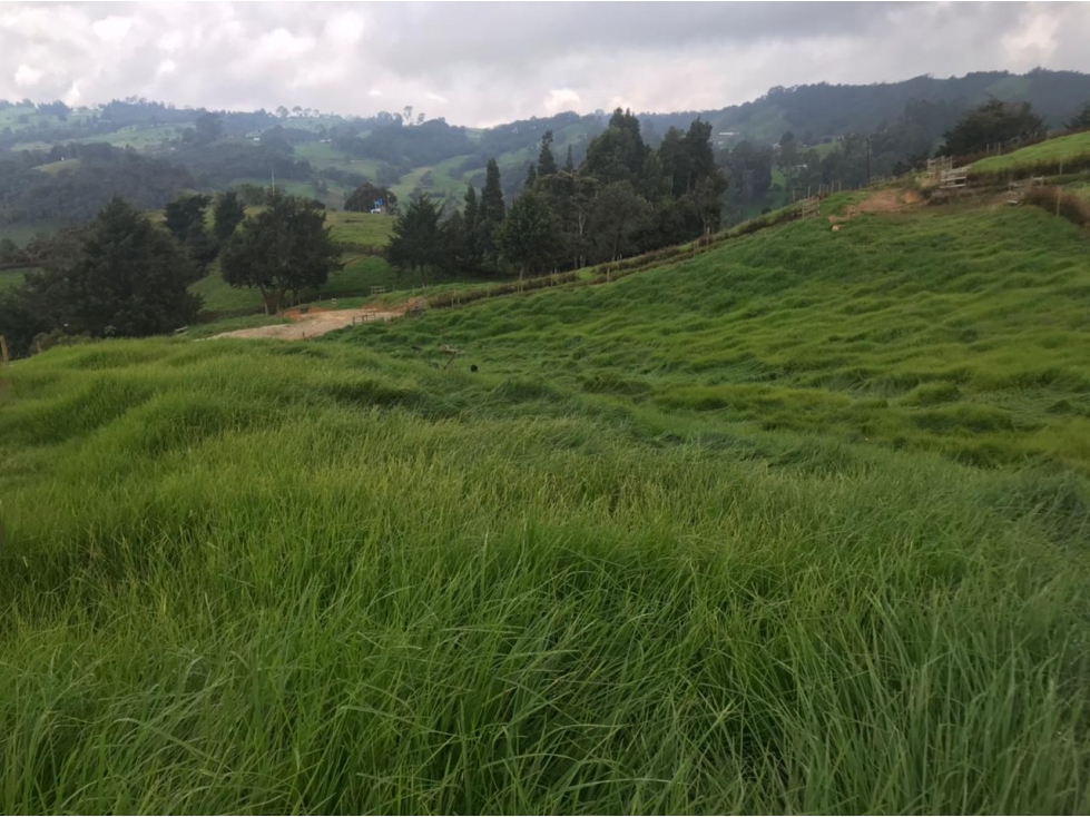 Lote en Venta en San Pedro de los Milagros Vereda La Pulgarina — foto 3