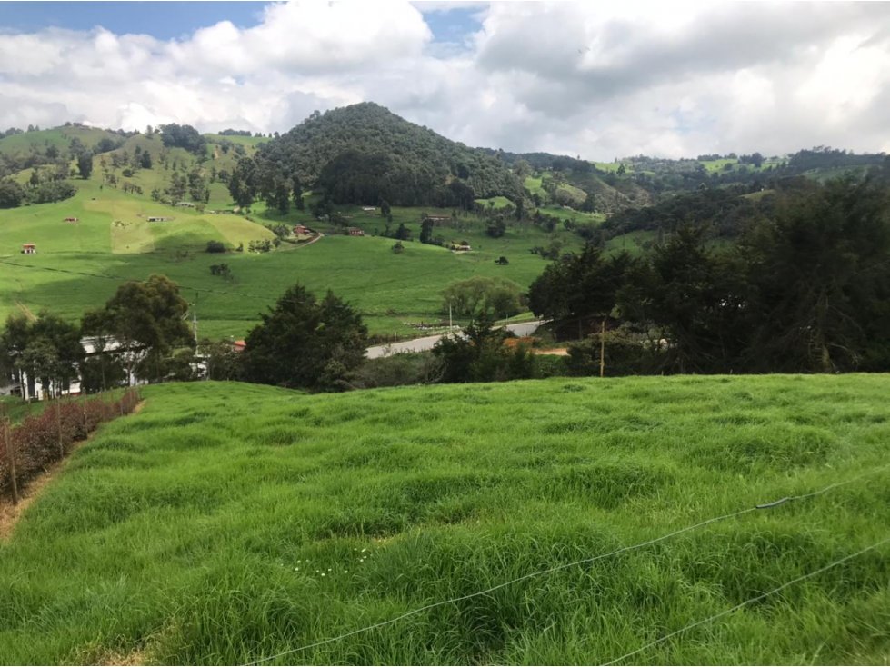 Lote en Venta en San Pedro de los Milagros Vereda La Pulgarina — foto 5