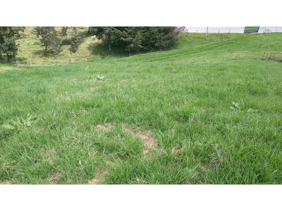 Lote en Venta en San Pedro de los Milagros Vereda La Pulgarina — foto 4