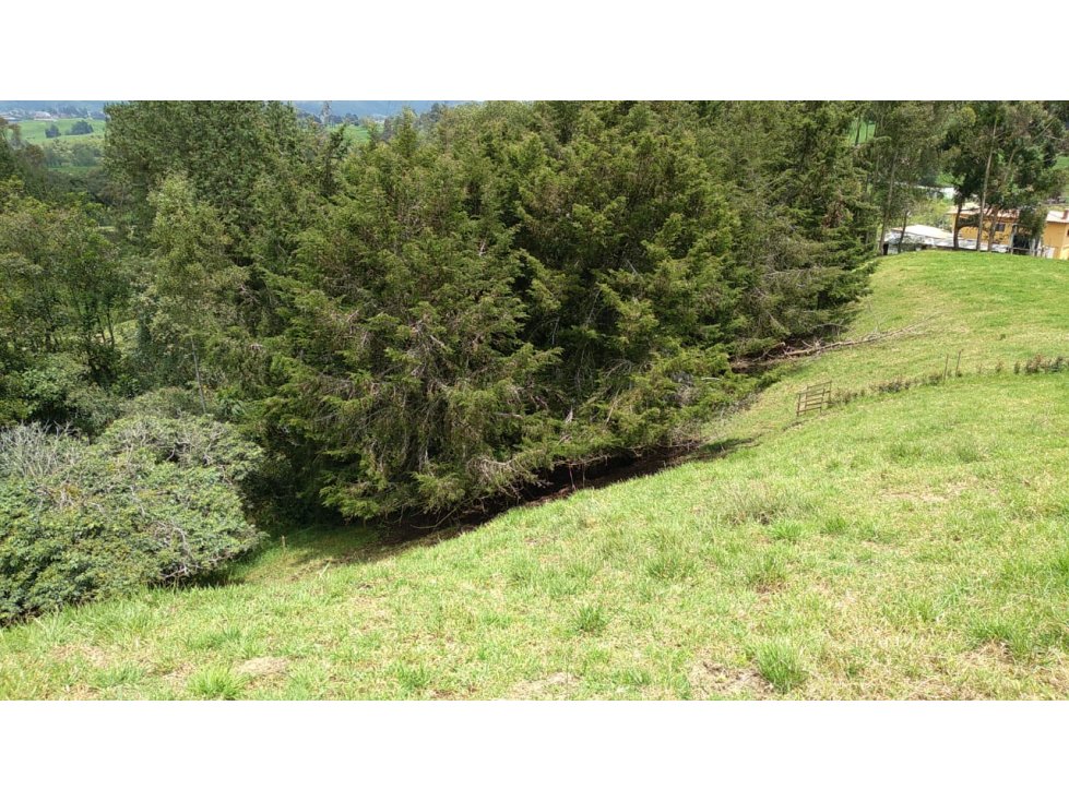 Lote en Venta Vereda La Pulgarina en San Pedro de los Milagros — foto 3