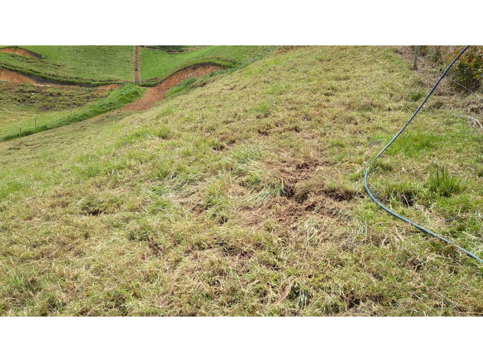 Lote en Venta en la Vereda La Pulgarina San Pedro de los Milagros — foto 3