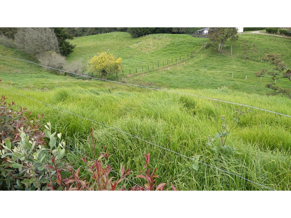Lote en Venta Vereda La Pulgarina en San Pedro de los Milagros