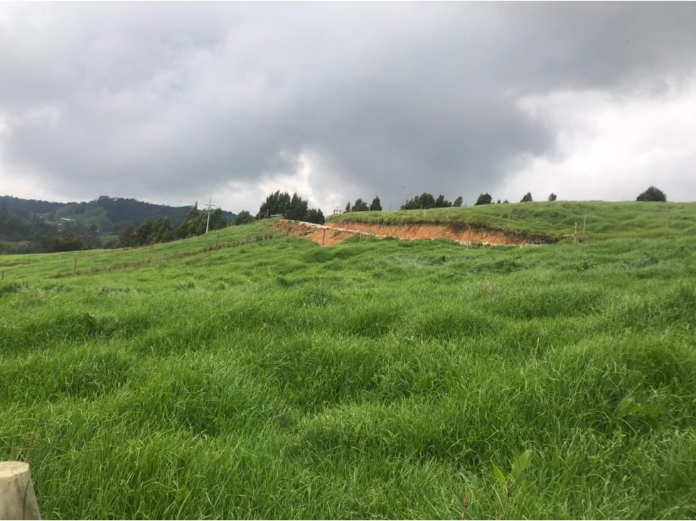 Lote en Venta Vereda La Pulgarina en San Pedro de los Milagros — foto 2