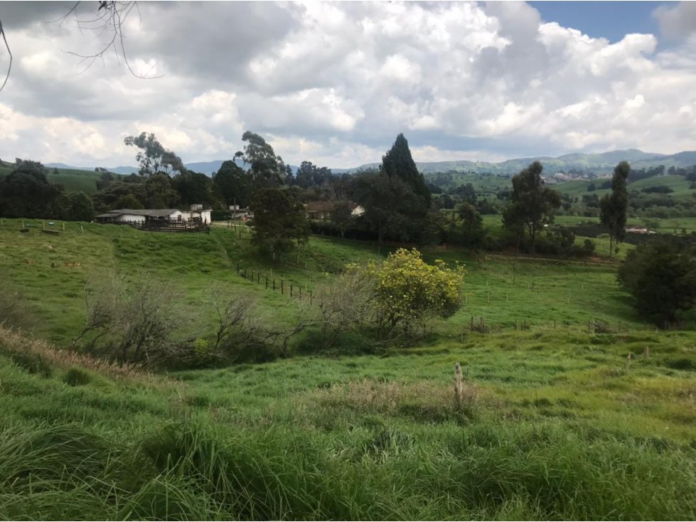 Lote en Venta Vereda La Pulgarina en San Pedro de los Milagros — foto 5
