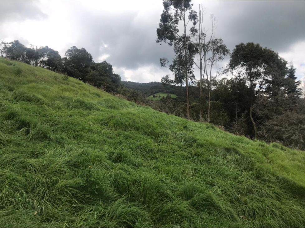Lote en Venta Vereda La Pulgarina en San Pedro de los Milagros — foto 4