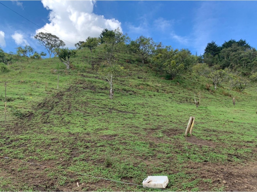 Lote en Venta sector Pantanillo en El Retiro — foto 5