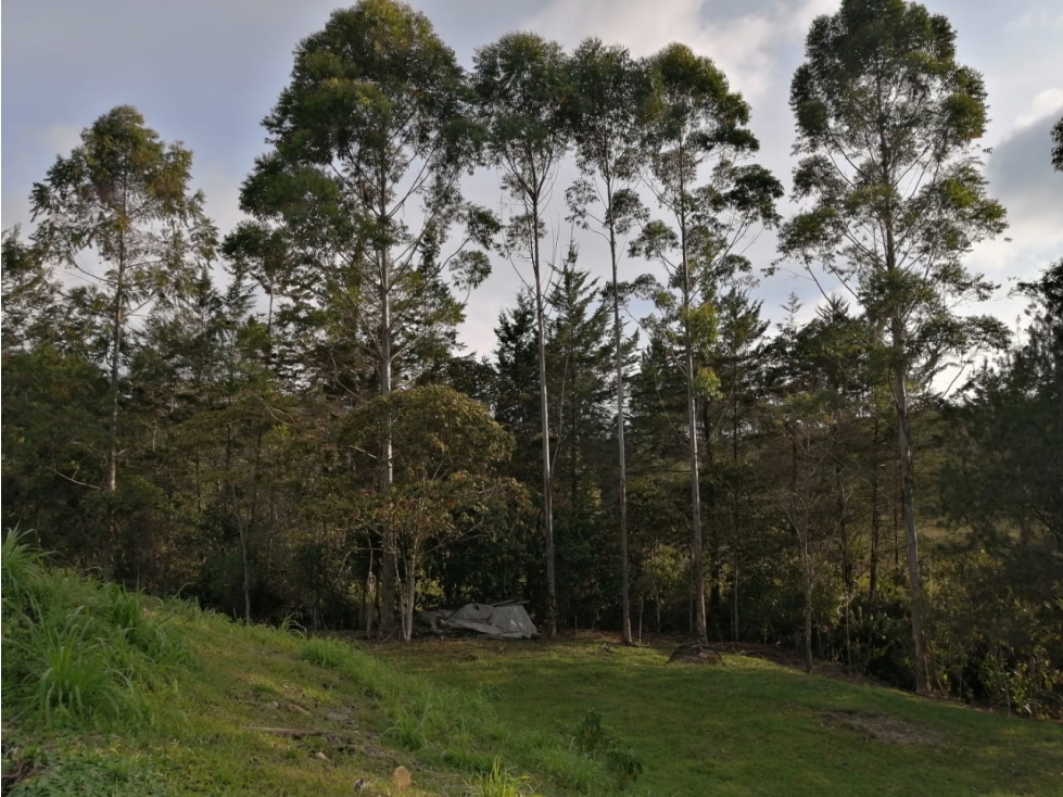 Lote en Venta en Guatapé Sector Los Benedictinos — foto 4