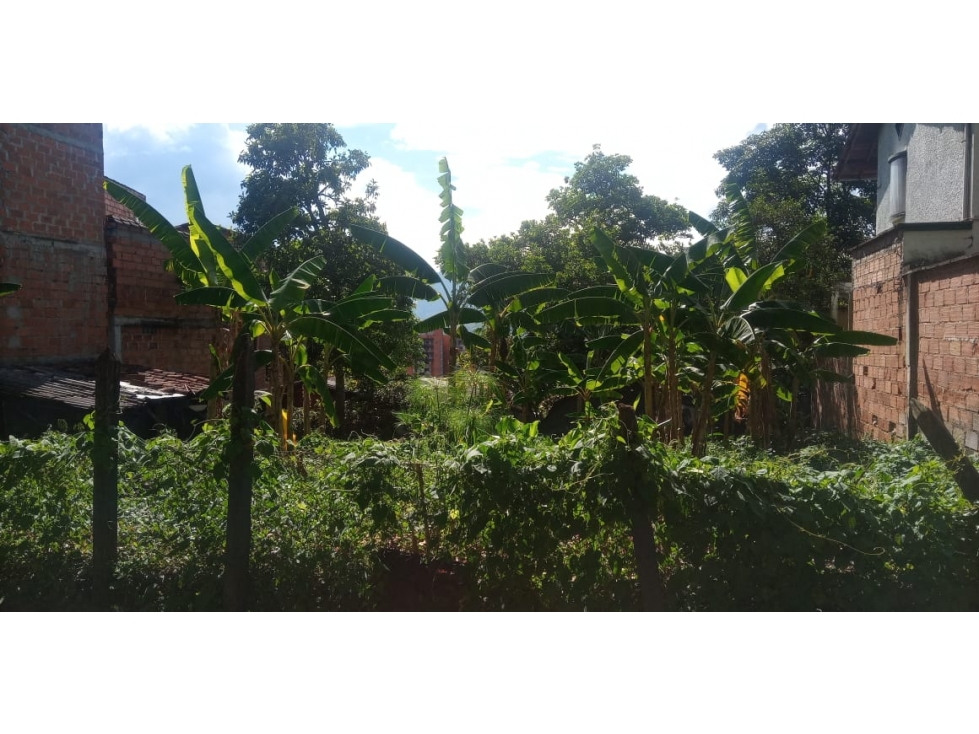 Lote en Venta Sector Loma Benedictinos Envigado — foto 5