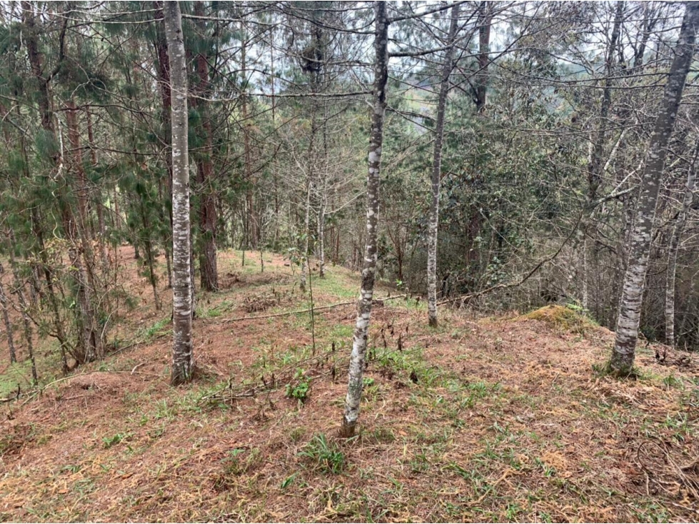 Lote en Venta Sector Lejos del Nido, el Retiro — foto 6