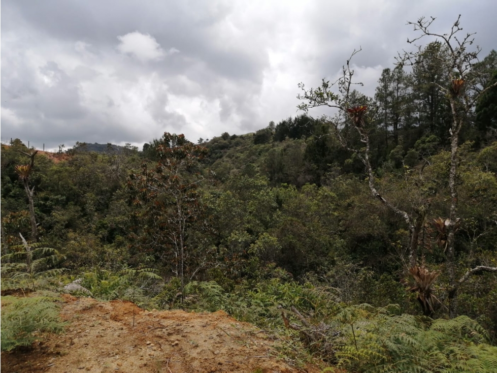 Lote en Venta San Vicente, Sector La Truchera — foto 5