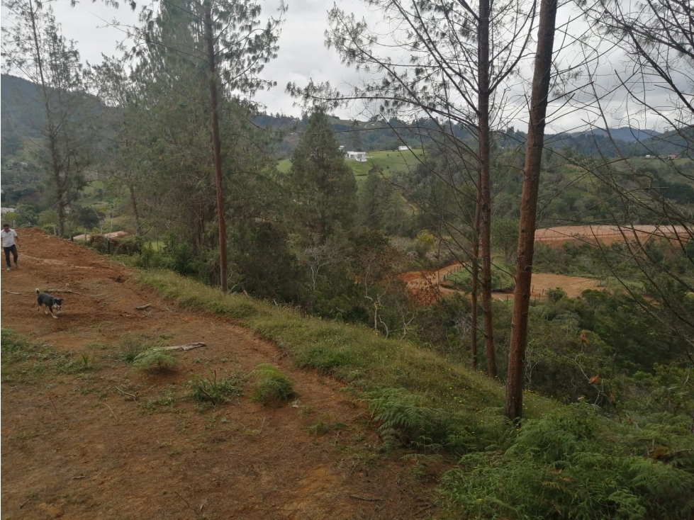 Lote en Venta Sector La Truchera San Vicente — foto 4