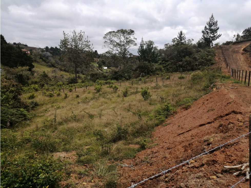 Lote en Venta Municipio de San Vicente en el Sector de la Truchera — foto 3