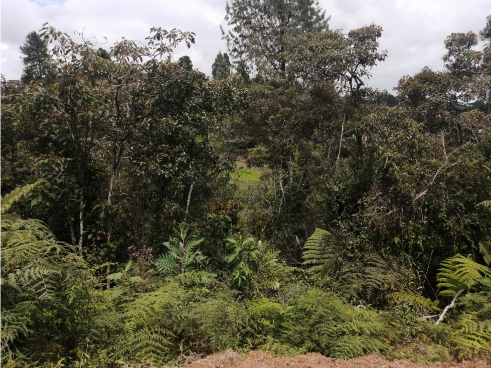 Lote en Venta Sector La Truchera Municipio de San Vicente — foto 5