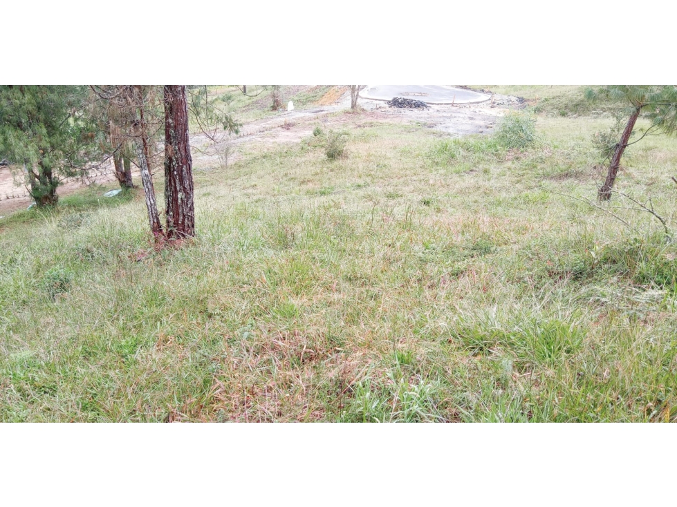Lote en Venta Alto de las Palmas Sector el Silencio Envigado — foto 4